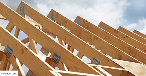 Un nouveau matériau en bois plus résistant que de l'acier, grâce à un traitement moléculaire