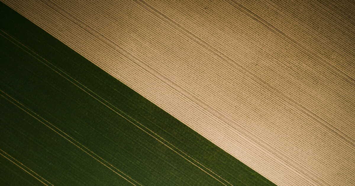 La dégradation des terres agricoles menace 1,7 milliard d’humains à travers le monde, selon la FAO