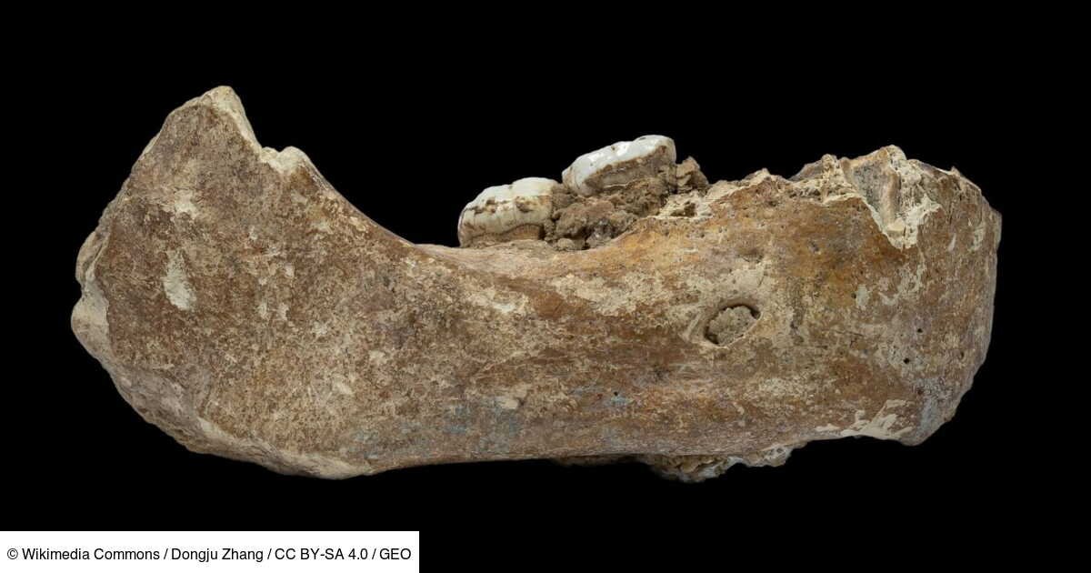 Les mystérieux secrets de survie des Dénisoviens, cousins des Néandertaliens, révélés dans une étude