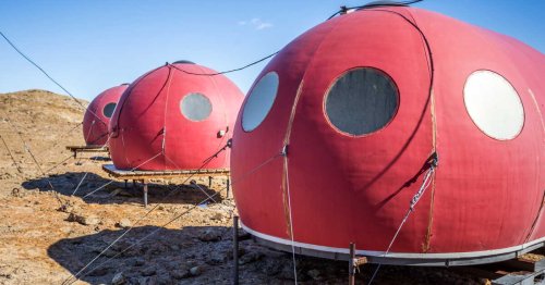 L'ADN révèle une biodiversité totalement inattendue dans les "oasis antarctiques", fruit de la coopération entre espèces