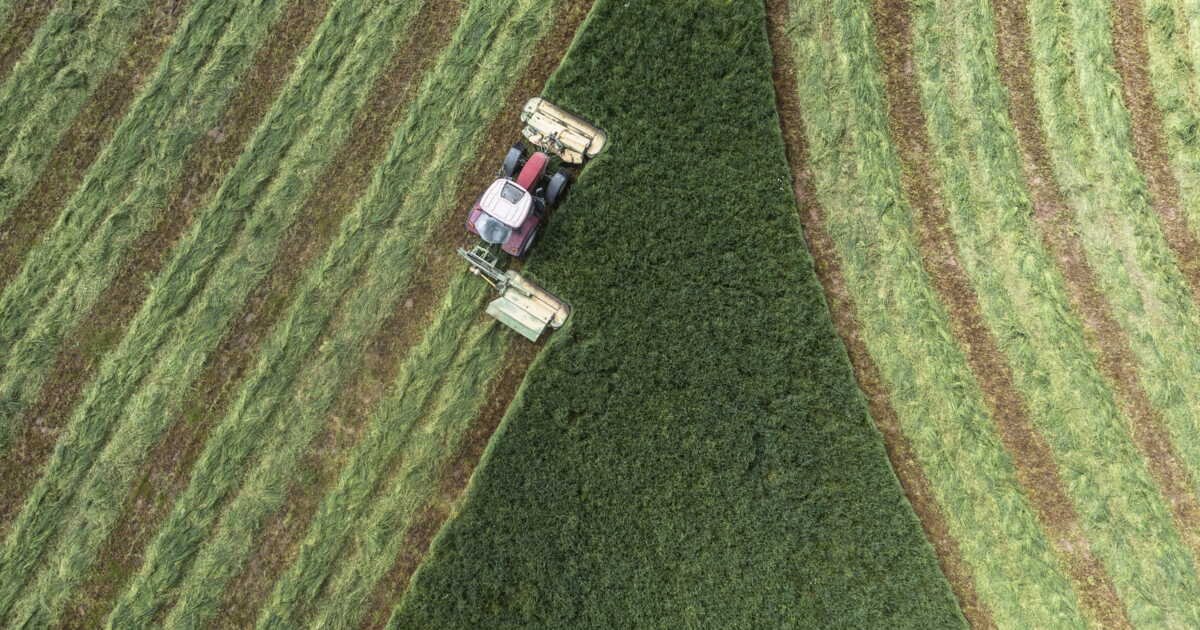 Accord Mercosur : Bruxelles pressée d’agir, la France isolée