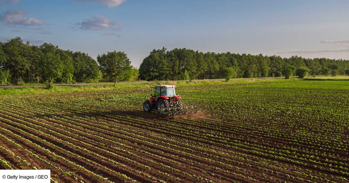 Qu’est-ce que l’agriculture conventionnelle, une approche dominante mais controversée ?