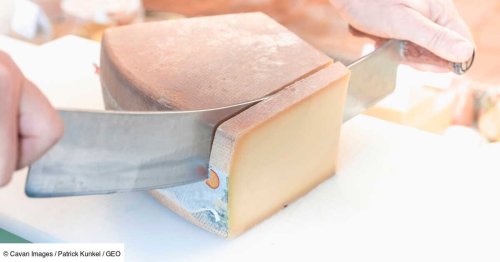 Le comté en danger? Ce que révèle la polémique sur le fromage préféré des Français