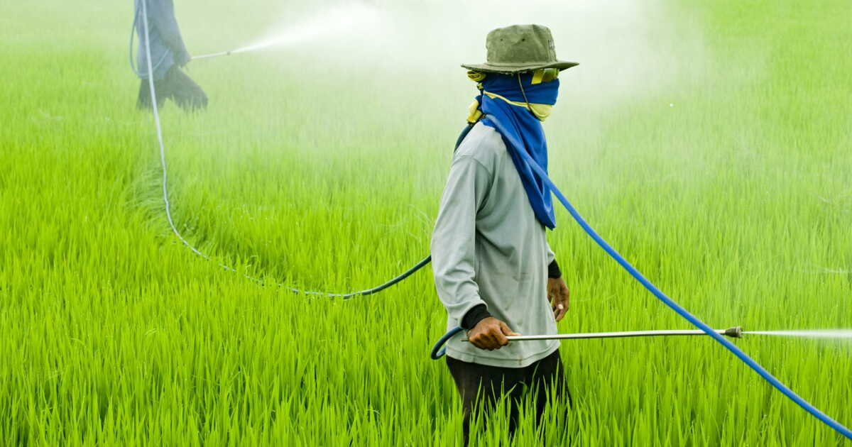 Le Chiffre de GEO: 122 000 tonnes de pesticides interdits dans l’UE devaient être exportées en 2024