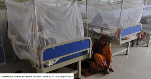 Un "événement sanitaire de grande ampleur pour le monde" : le Bangladesh frappé par sa pire épidémie de dengue