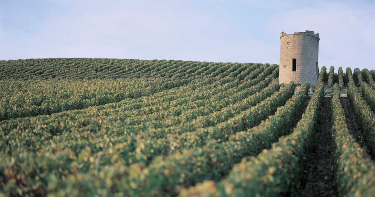 Aube, la Champagne insoupçonnée: entre vallons secrets et audaces viticoles