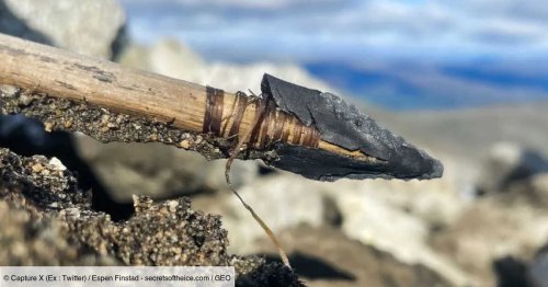 Norvège : la fonte des glaces dévoile une flèche "très rare" datant de l’âge de bronze