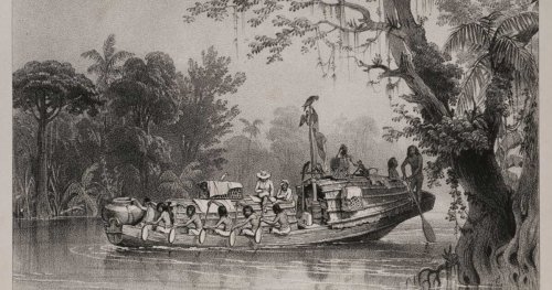 Une nouvelle Amazonie: ce que les scientifiques viennent de révéler sur les peuples oubliés