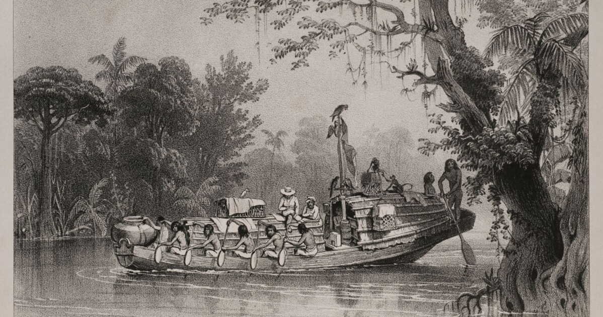 Une nouvelle Amazonie: ce que les scientifiques viennent de révéler sur les peuples oubliés