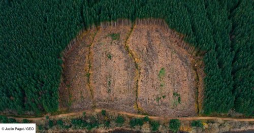 Déforestation: le classement controversé épargne les États-Unis, mais pointe du doigt la Russie