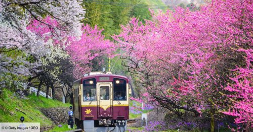 Voyager en train au Japon, un slow travel à travers l'archipel