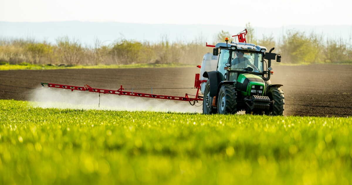 Pesticides, eau, élevage: ce que contient la loi Duplomb, contestée par les défenseurs du climat