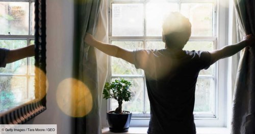 Fenêtres : un revêtement révolutionnaire pourrait préserver nos logements des fortes chaleurs