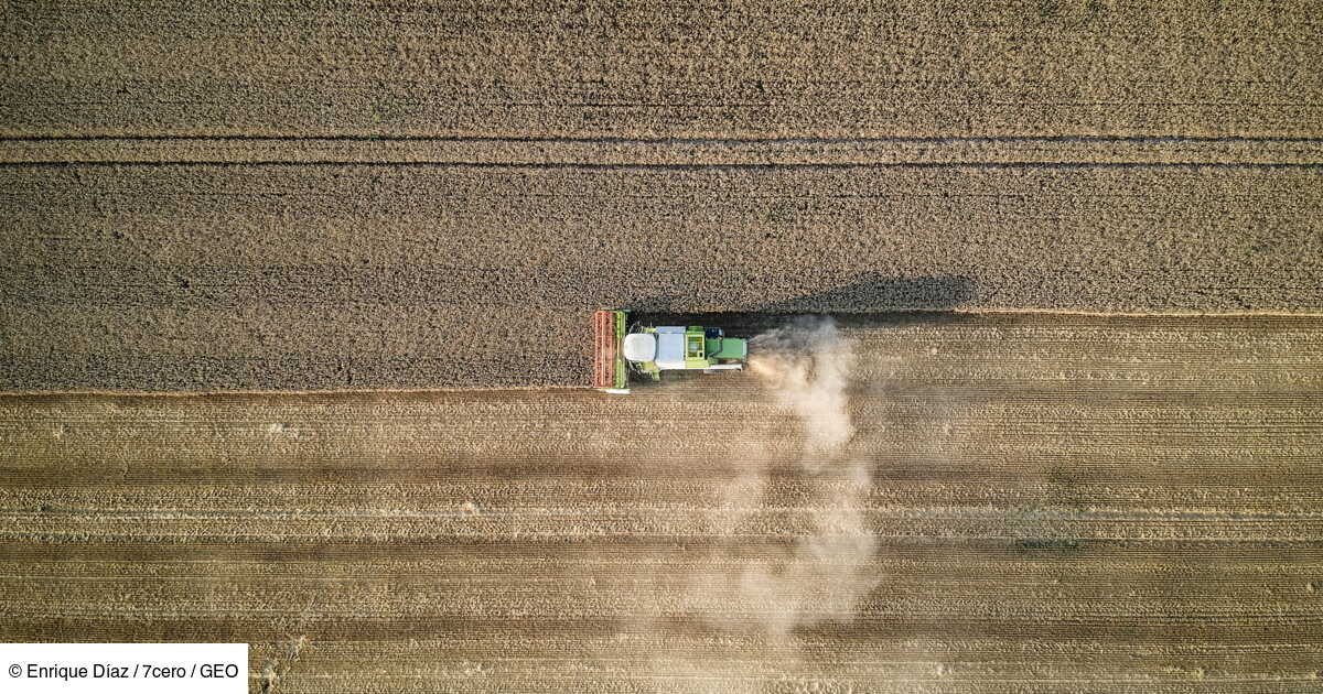 La loi d’orientation agricole: « une régression historique pour l’environnement » selon les ONG