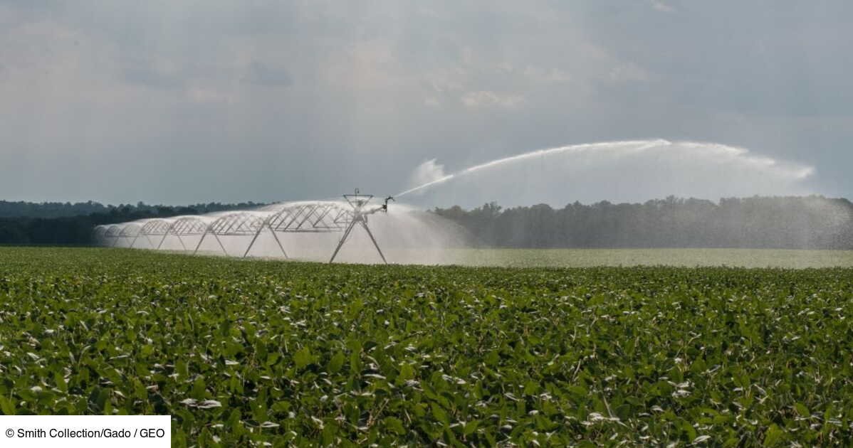 La consommation d’eau pourrait doubler d’ici à 2050, selon un rapport