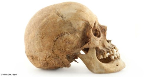 20% du patrimoine génétique de l'être humain moderne serait hérité d'une mystérieuse population ancestrale