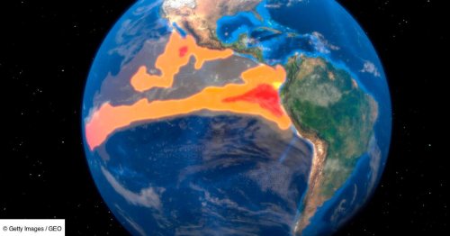Un "blob" : des experts pensent avoir trouvé l'origine du comportement étrange d'El Niño