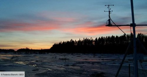 En Finlande, une tourbière vieille de 9 000 ans révèle le "parfum" perdu de l'atmosphère préindustrielle
