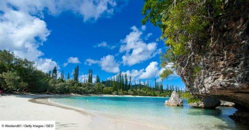 L'eau est turquoise, le sable est blanc... Alors pourquoi l'île des Pins meurt à petit feu?