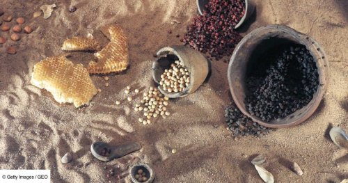 Fruits, légumes, céréales... Ce que nos ancêtres mâchaient vraiment à la Préhistoire