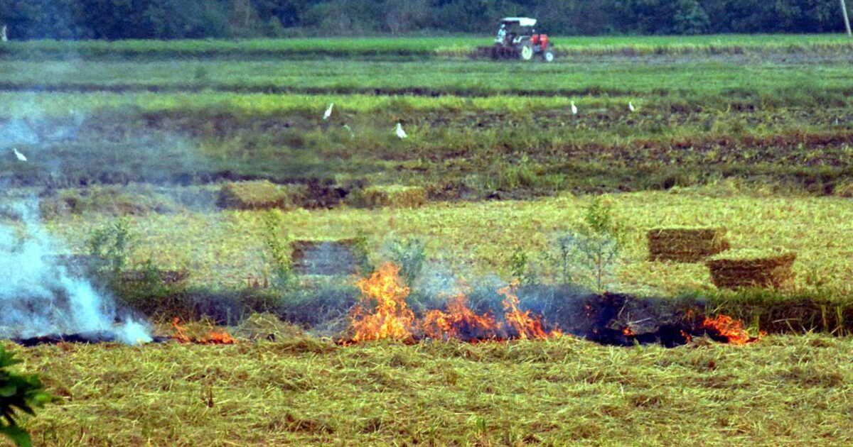 Chaque heure, l’industrie des fossiles et l’agriculture intensive provoquent 5 milliards de dollars de dégâts environnementaux