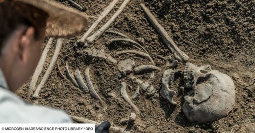 Une grotte israélienne dévoile des liens inattendus entre Homo sapiens et l'Homme de Néandertal