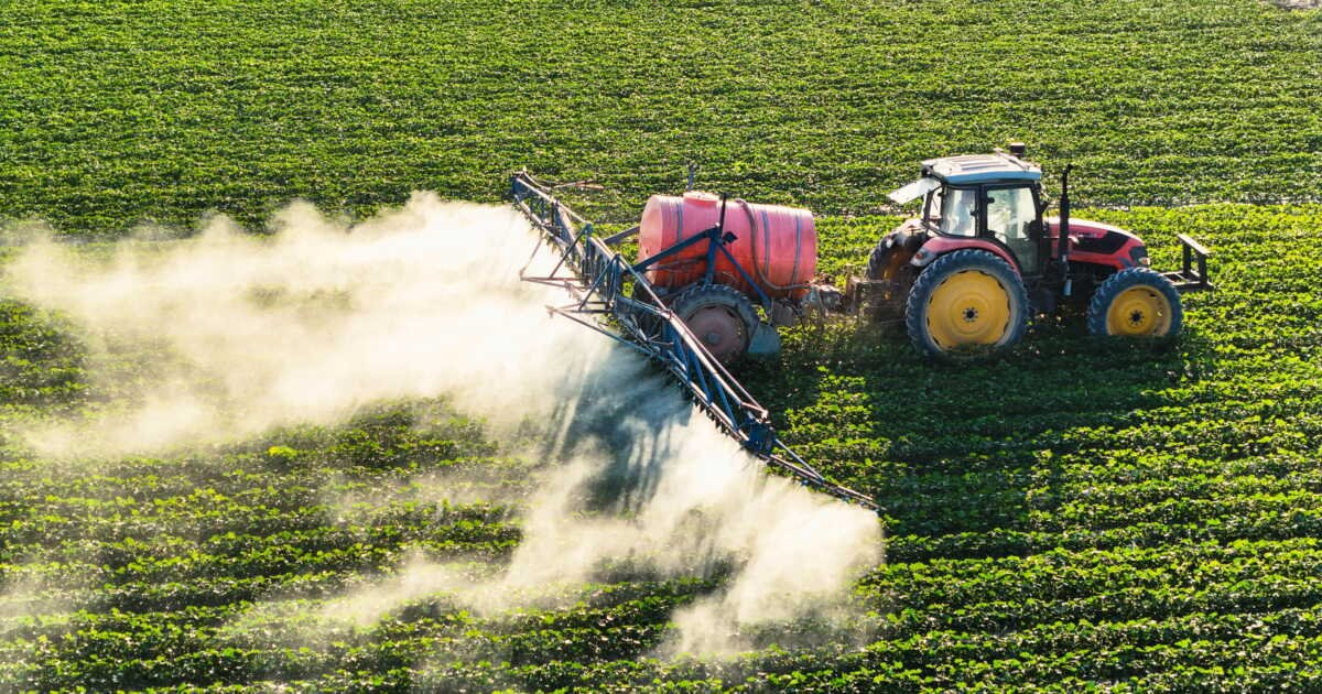 Les riverains viticoles en danger: l’appel de La Rochelle contre l’exposition aux pesticides