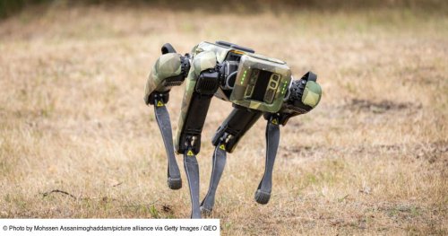 La Corée du Sud entraîne des chiens-robots pour prendre d'assaut les bunkers souterrains de Kim Jong-un