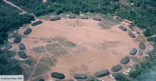 "Terre noire" d'Amazonie : des peuples anciens ont délibérément produit ce sol fertile, selon une étude