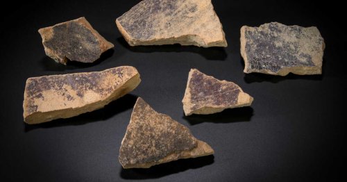Une monumentale fabrique antique de pourpre royale, exploitée durant cinq siècles, refait surface en Israël