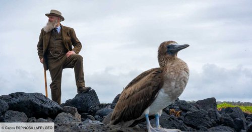 Un passionné de Charles Darwin fait "revivre" le célèbre naturaliste aux Galápagos