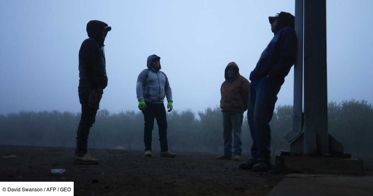 Les agriculteurs américains, et leurs indispensables travailleurs immigrés, rattrapés par les promesses d’expulsions de Trump