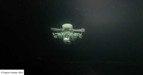 Un mini-robot révolutionnaire explore la fosse des Mariannes à 10600 mètres de profondeur