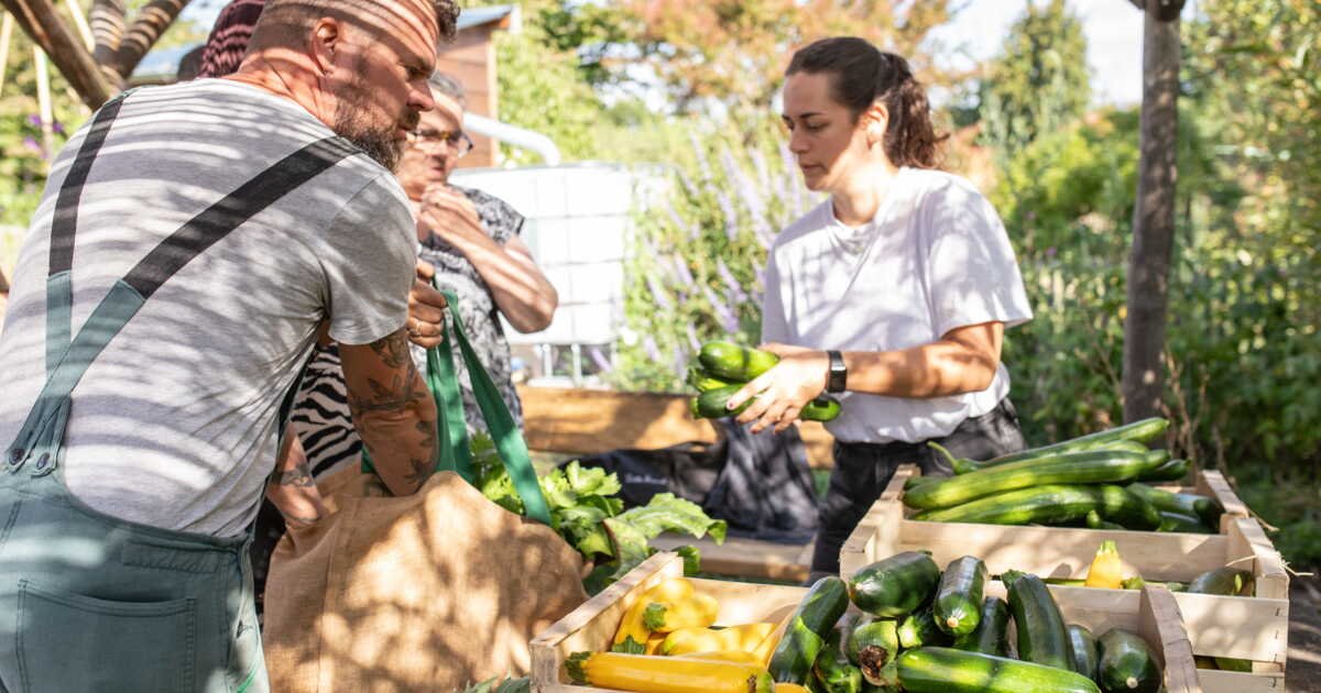 Le jardin partagé, transformer un espace clos en un lieu ouvert