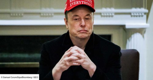 Trump, le pari super perdant de Musk et Tesla