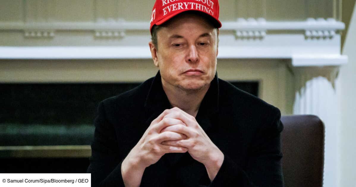 Trump, le pari super perdant de Musk et Tesla