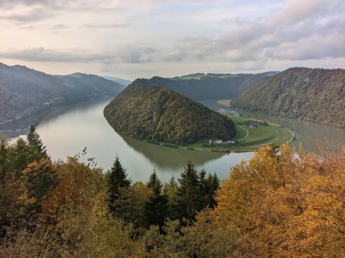Am Donausteig wandern – Meine Erfahrung auf der Südroute zwischen Passau und Linz