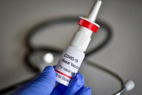 Impfung in der Nase: Sind Lebendimpfstoffe die Corona-Rettung?