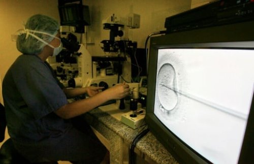 Fehler der Klinik: Frau in Australien trägt unwissentlich Embryo von anderer Frau aus