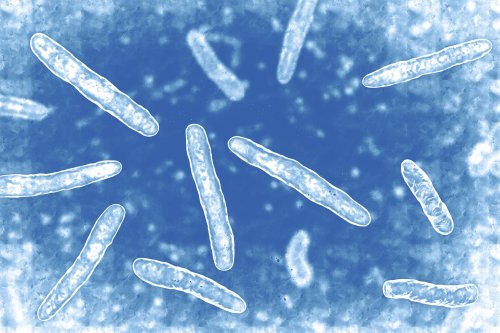 Tuberkulose: Symptome, Ansteckung und Behandlung bei Schwindsucht