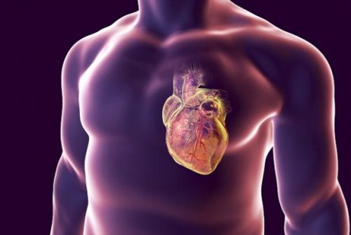 Vorsicht Herzmuskelentzündung: wichtige Anzeichen und Symptome