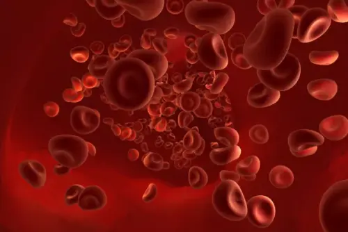 Blutbild: Das bedeuten Ihre Blutwerte