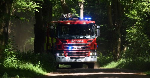 Murder arrest after two killed in Alton house fire as police investigation continues