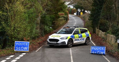No arrests after Caterham dog attack where woman, 28, died, say Surrey Police