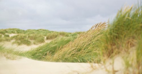 The beautiful beaches you can visit within an hour or two of Surrey