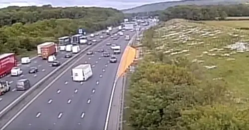 Warning after runaway trailer filmed on M25 crashing from side to side as motorists follow