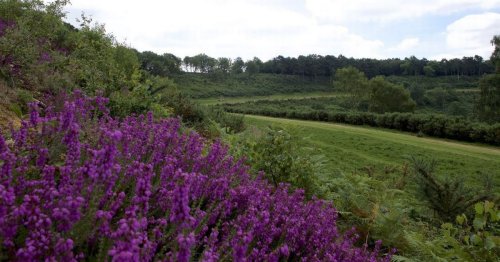 Hindhead Tunnel before and after photos show how it changed area