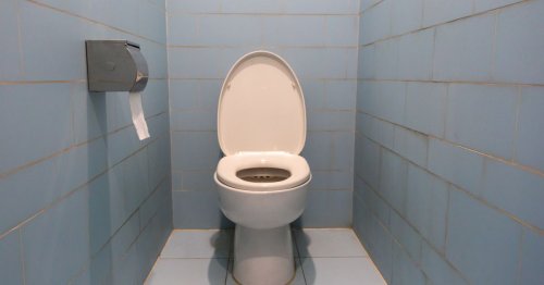 The M25 toilets awarded 'Loo of the Year' that can be visited over the Easter weekend
