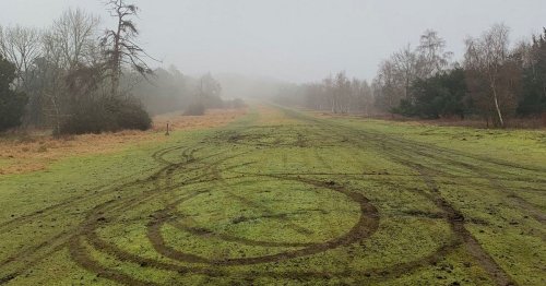 Surrey beauty spots are being churned up by off-road vehicles