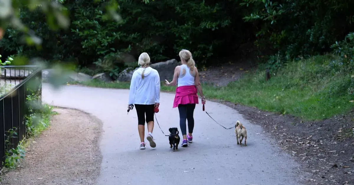 New dog walking rules and code of conduct for hugely popular parks and forests near Surrey